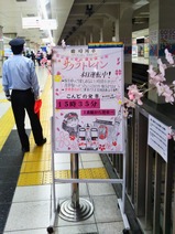 20210325¥µ¥¯¥é¥È¥ì¥¤¥óÀõÁð±Ø·Ç¼¨Êª