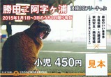 湊線1日フリーきっぷ2015正月三が日小児