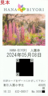 20240508はなびより入園券1