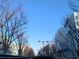 �ҥ�����SHIBUYA STREET RIDE