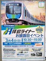 ���𿷽���������40000�Ͻ鱿��