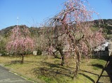 FTG写真25