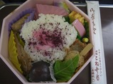 箱根登山あじさい電車弁当2013