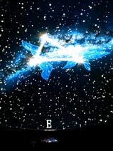 ¥Ï¥¤¥ì¡¼¥ë¥®¥ã¥é¥ê¡¼HIGH RAIL±ÇÁü