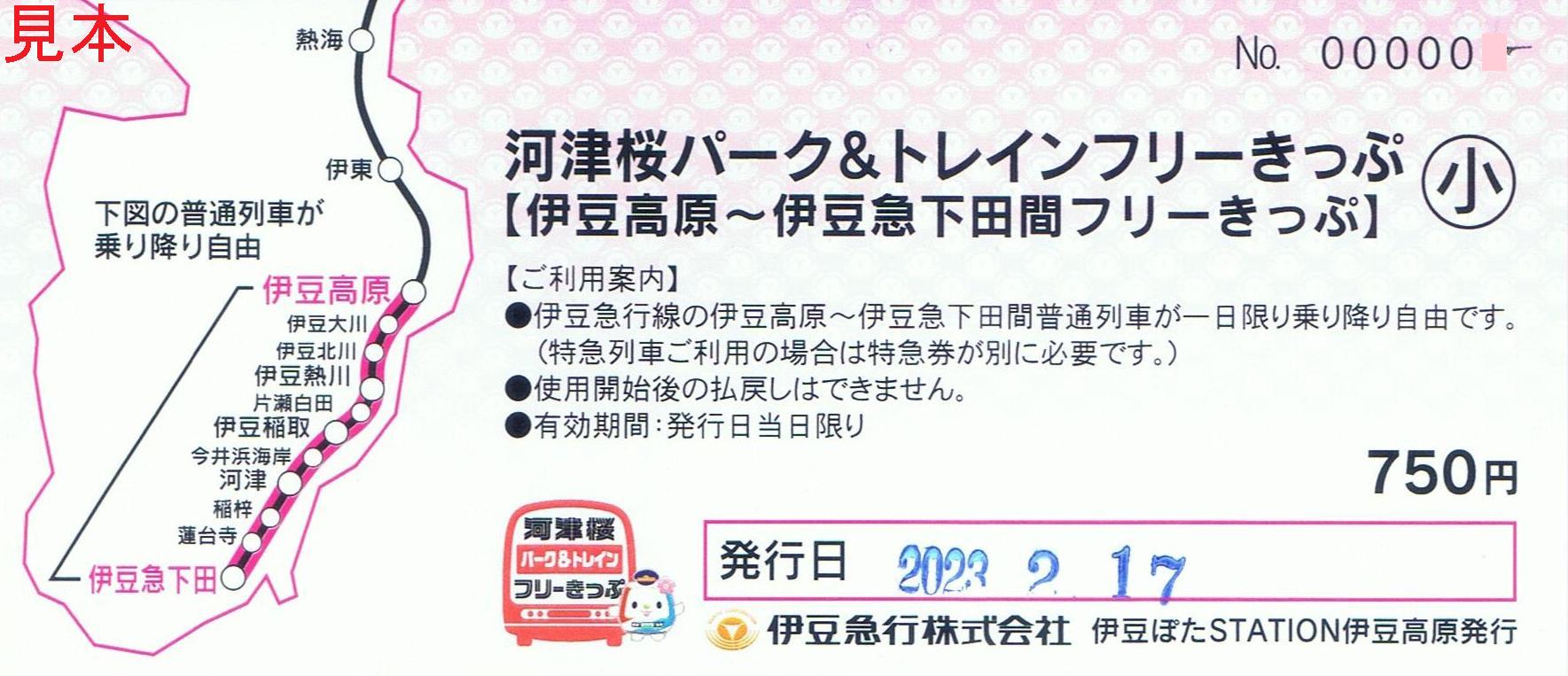 伊豆急行 河津桜号(快速列車) : 13番まどぐち