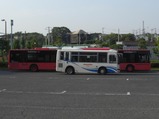 CIMG3532