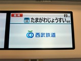 ���𿷽���������40000�Ͻ鱿��