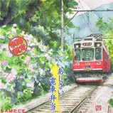 箱根登山あじさい電車弁当2013掛紙