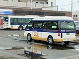 202509near������Τ���