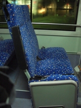 20100331�����ʎގ����ë����������2