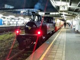 夜桜トロッコ五井駅