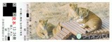 多摩動物公園ライオンバス2021乗車券2
