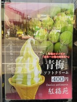 20230223特急青梅奥多摩梅の里号の旅紅梅苑