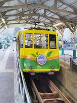 20231224高尾登山電鉄Mt.FUJI号清滝駅