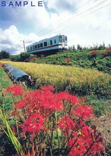 肥薩おれんじ鉄道直通快速絵はがき06