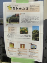 �֤�ꤪ�Ȥ���ƻ��05������