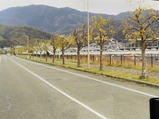みどり坂タウンバスみどり坂小学校北→みどり中街