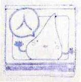 ÆüÊëΤ¼Ë¿Í¥¹¥¿¥ó¥×3