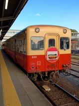 20251205��̫Ŵƻ��13��Ը��������ѴۻҤɤ⳨��Ÿ�إåɥޡ���