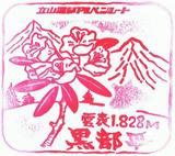 Ω����������ڥ�롼�ȹ���ʿ�ص�ǰ�������