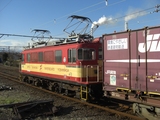 岳南鉄道機関車祭2009比奈駅7