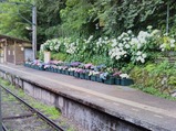 20230628あじさい電車車窓