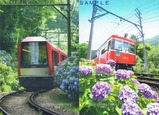 Ȣ���л�Ŵƻ��Ω130��ǯ��ǰȢ�����������żֺ���΢