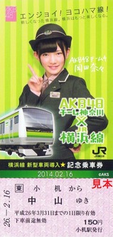横浜線新型車両導入記乗2