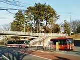 20220212稲城市iバス平尾団地Bコース