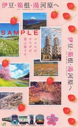SVMEリゾート踊り子いちごポッキー