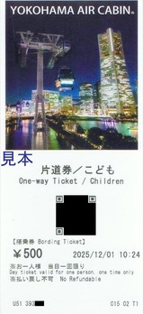 2025�襳�ϥގ�����������ӥ�����2