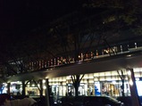 20221126東急バスオープントップバスツアー