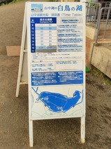 20240613富士汽船白鳥の湖02