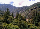 飯田線80周年秘境駅号小和田駅