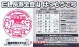 EL長瀞宝登山はつもうで号乗証裏