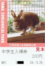 20240325多摩動物公園入場券4ノウサギ