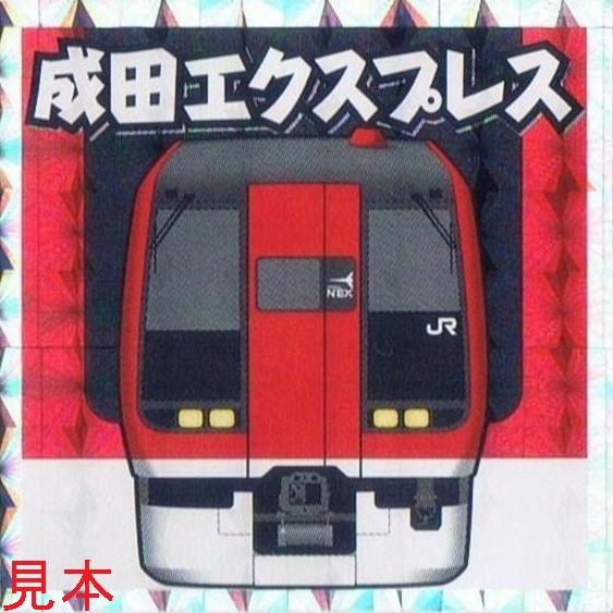 JR東日本 成田エクスプレス : 13番まどぐち