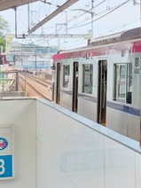 20260531京王トレインポイントDay記念号京王よみうりランド駅