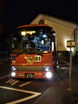 20201112稲城市iバス丘の湯D・Eコース