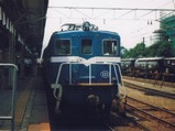 H050811パレオ1