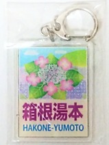 箱根登山鉄道あじさい電車方向板キーホルダー裏