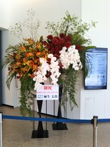 ���ͥ�������ӥ󱿲ϥѡ����ؼ���