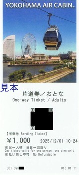 2025�襳�ϥގ�����������ӥ�����1