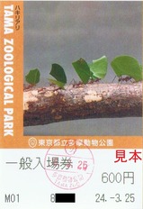 20240325多摩動物公園入場券1ハキリアリ