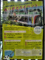 20191029���ؾ���ưʪ���Υ졼��40����ξ���ढ�꤬�Ȥ����٥��