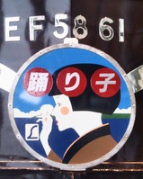 20250502鉄道博物館EF58 61サロンエクスプレス踊り子HM