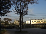 国鉄下河原線東京競馬場前駅跡2