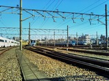 20231209小田急海老名基地線路3東側