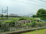 20260531京王トレインポイントDay記念号若葉台