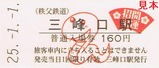 H25長瀞宝登山初詣号記入7